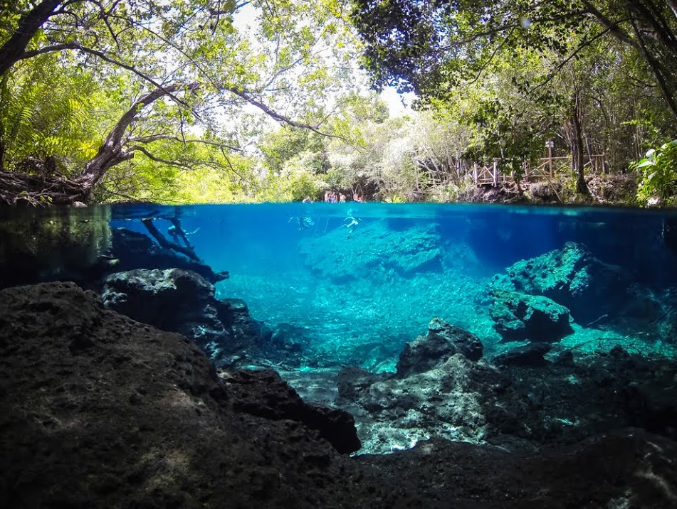 Reserva Ecológica Ojos Indígenas